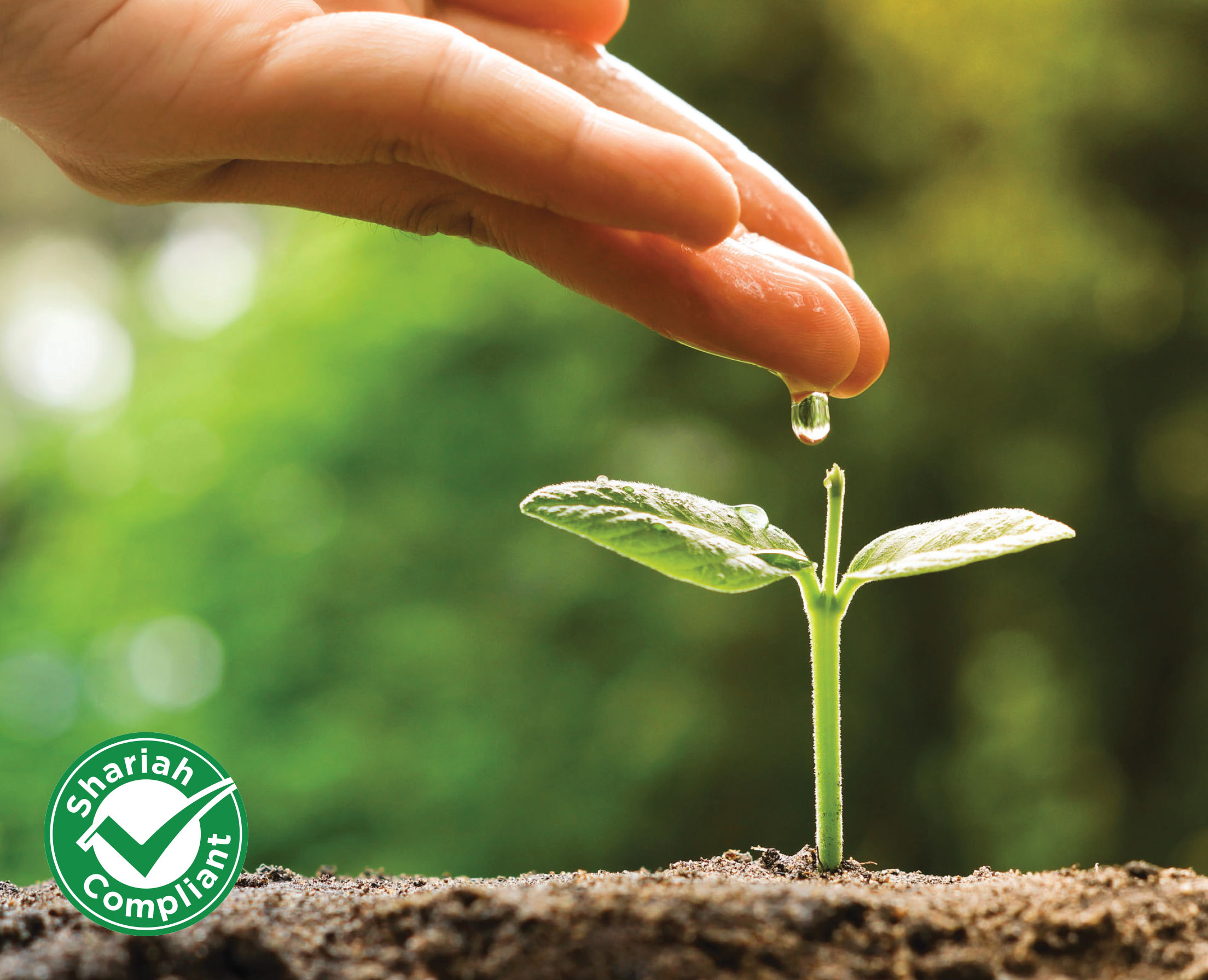 AmIslamicGrowth AmIslamicGlobalREITsFund